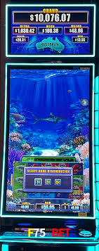 Bônus de Boas-vindas F75 Bet